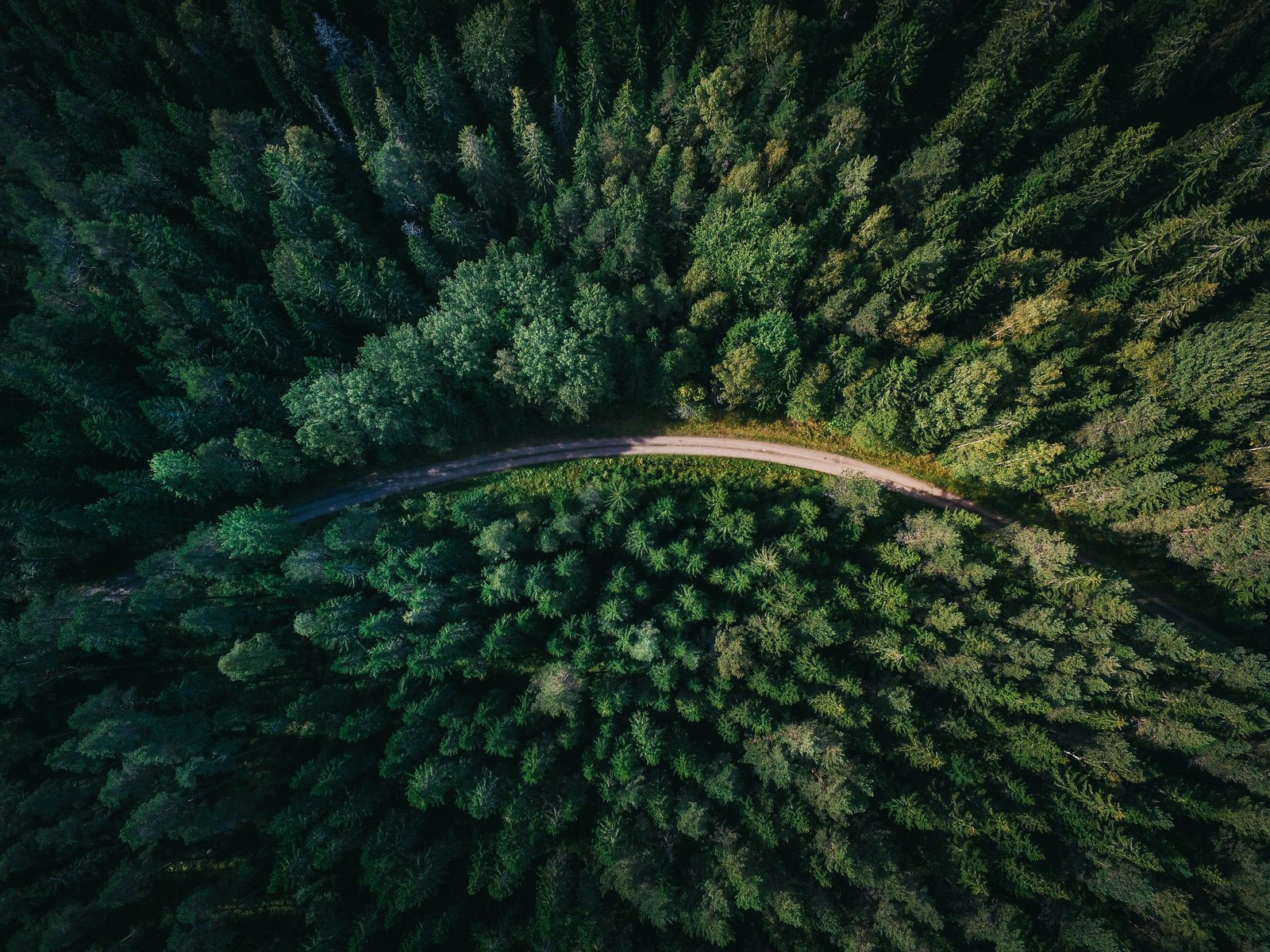 Hutan Sumatera Utara